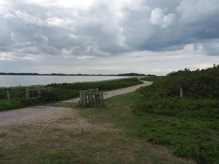 Halshuisene + Enebaerodde Beach (Denemarken)